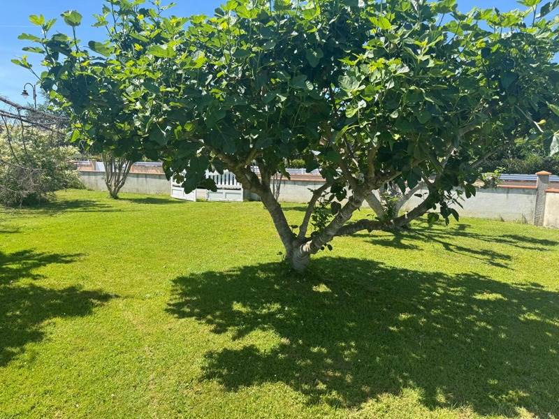 Vente Terrain AUSSON - -608 m² - (31210)