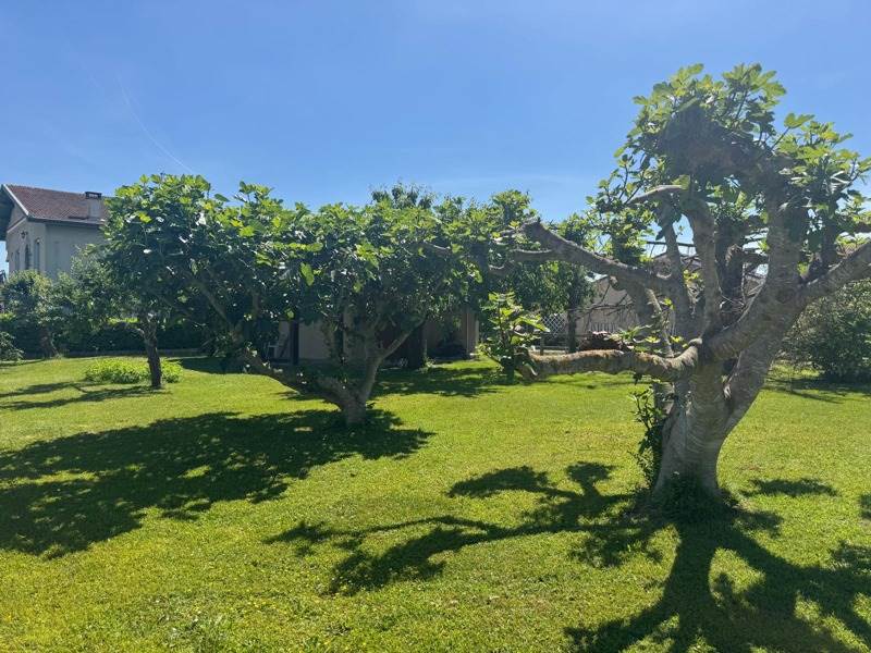 Vente Terrain AUSSON - -608 m² - (31210)