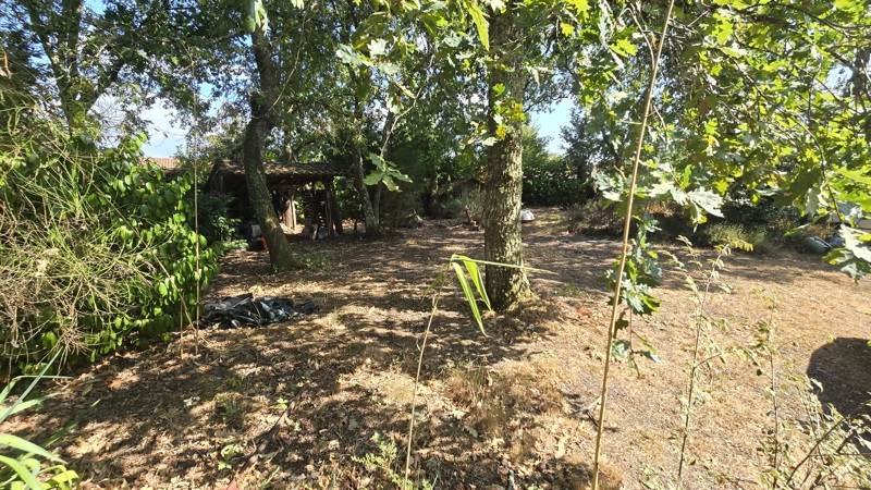 Vente Terrain Saint-Jean-d'Illac - -843 m² - (33127)