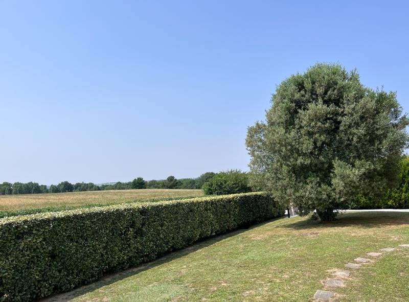 Vente Maison MONTEGUT LAURAGAIS - 7 pièces -270 m² - (31540)