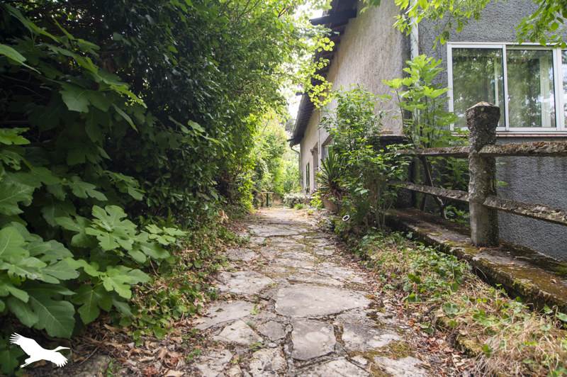 Vente Maison ST FELIX LAURAGAIS - 10 pièces -304 m² - (31540)
