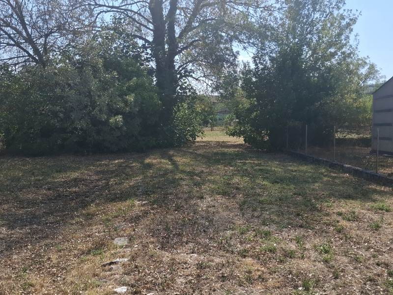 Vente Terrain Revel - -967 m² - (31250)