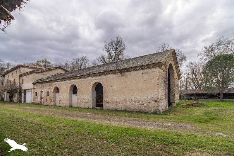 Vente Maison ST AVIT - 8 pièces -201 m² - (81110)