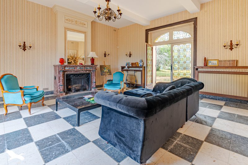 Vente Château CAPIAN - 10 pièces -490 m² - (33550)