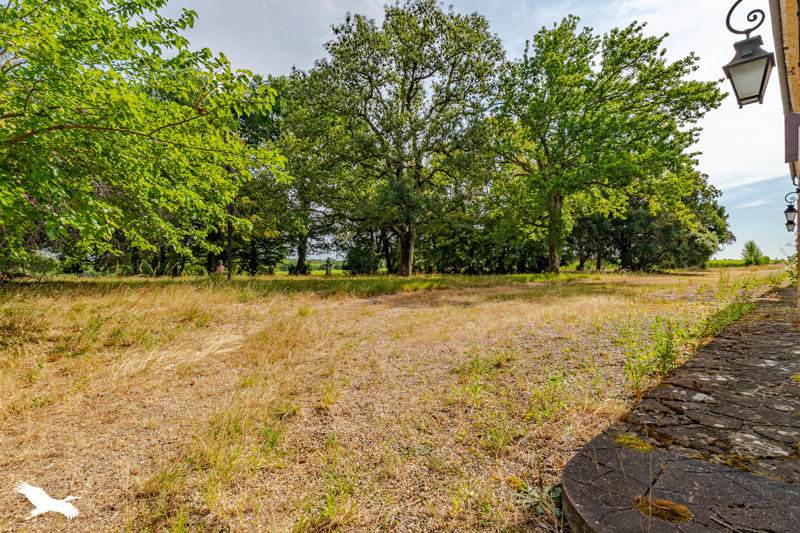 Vente Château CAPIAN - 10 pièces -490 m² - (33550)