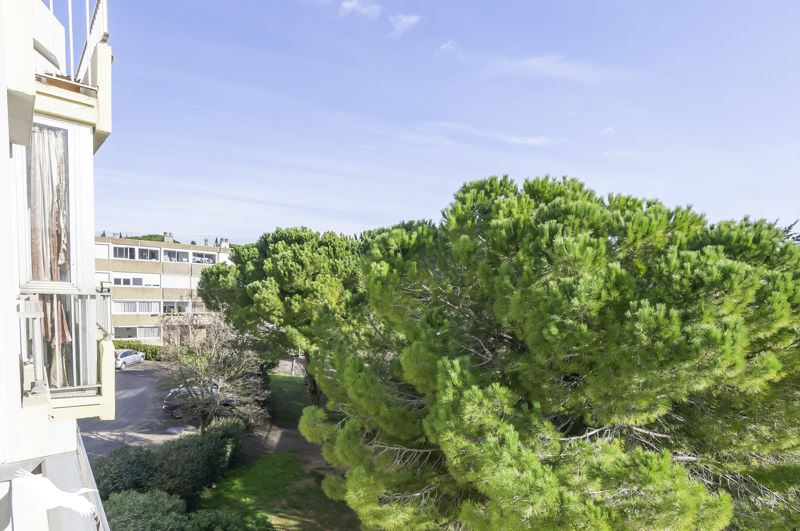 Vente Appartement BALARUC LES BAINS - 3 pièces -57 m² - (34540)