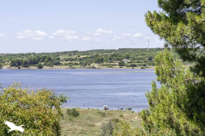 Vente Maison BALARUC LE VIEUX - 5 pièces -155 m² - (34540)