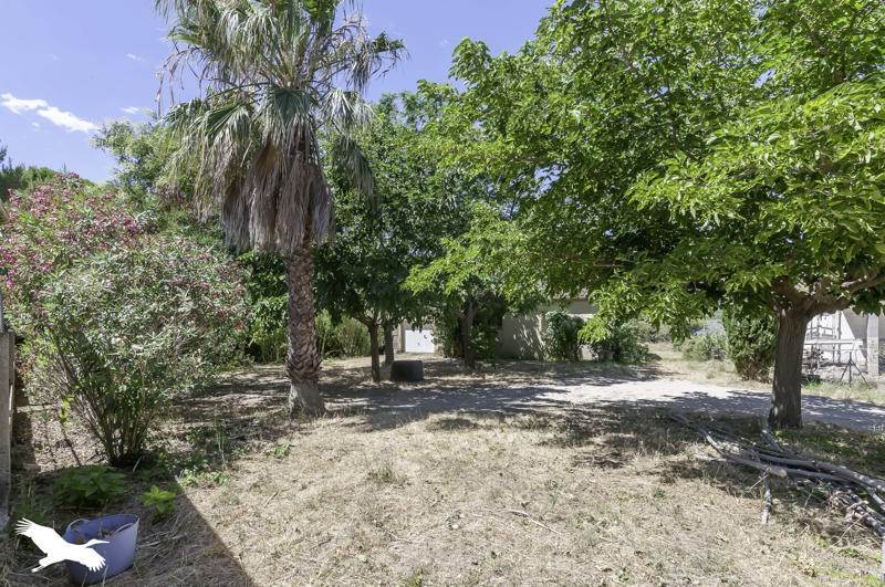 Vente Maison BALARUC LE VIEUX - 5 pièces -155 m² - (34540)