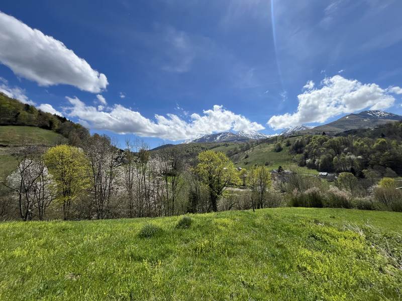 Vente Grange CAMPAN - 4 pièces -85 m² - (65710)