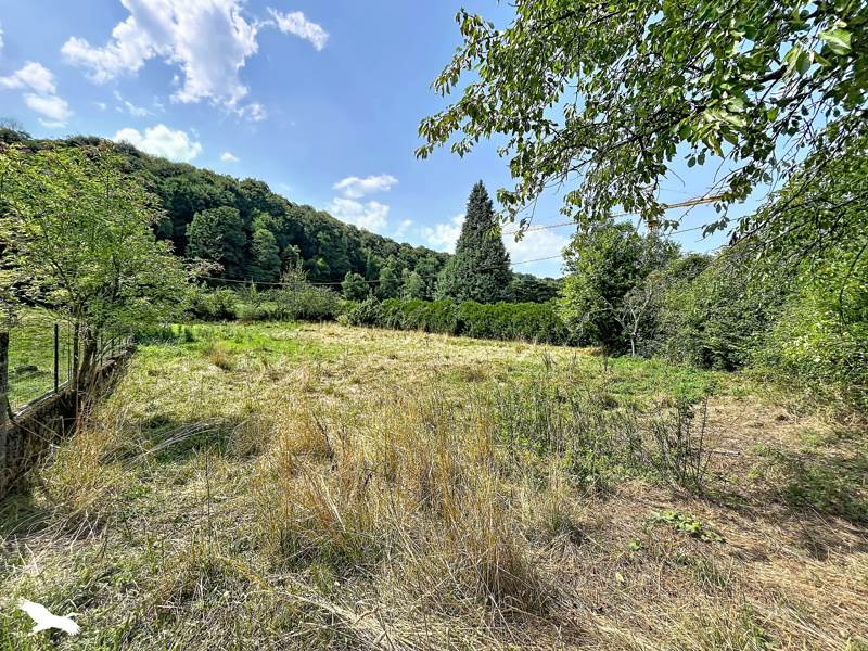 Vente Terrain Asté - -2043 m² - (65200)