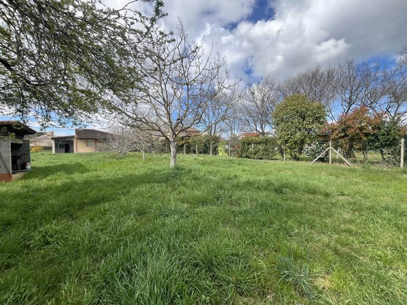 Vente Terrain PLAISANCE DU TOUCH - -850 m² - (31830)