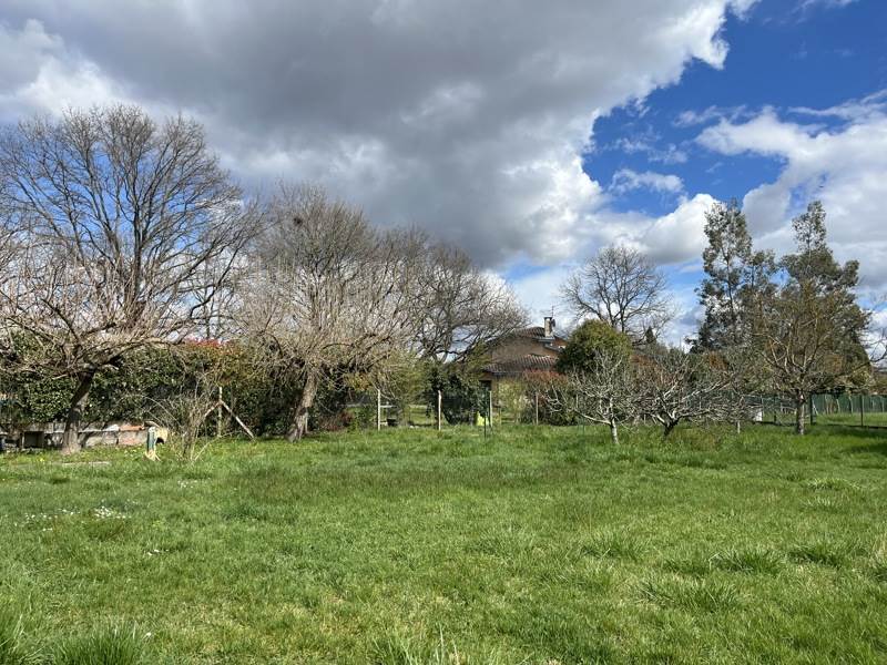 Vente Terrain PLAISANCE DU TOUCH - -850 m² - (31830)