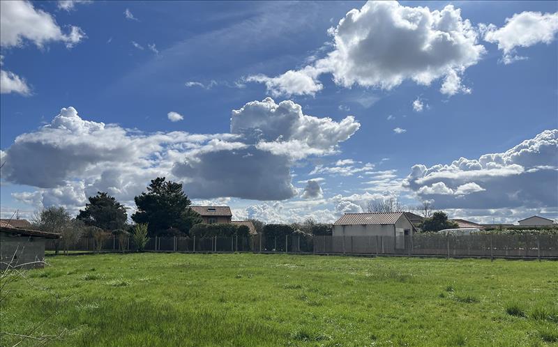Vente Terrain PLAISANCE DU TOUCH - -850 m² - (31830)