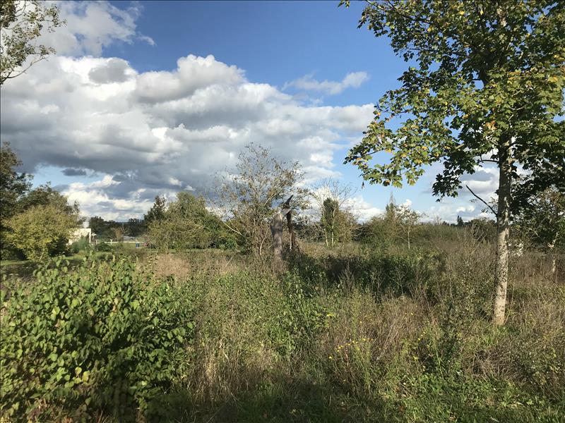 Vente Terrain MEHUN SUR YEVRE - -1630 m² - (18500)