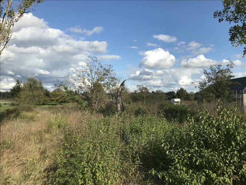 Vente Terrain MEHUN SUR YEVRE - -1630 m² - (18500)