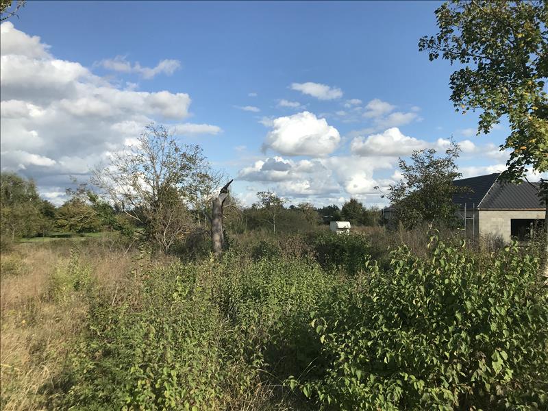Vente Terrain MEHUN SUR YEVRE - -1630 m² - (18500)