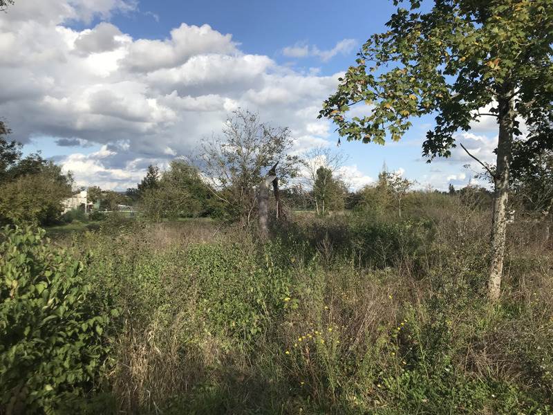 Vente Terrain MEHUN SUR YEVRE - -1630 m² - (18500)