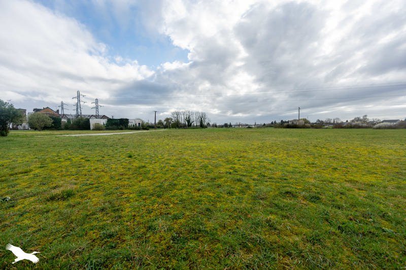Vente Maison ALLOUIS - 7 pièces -155 m² - (18500)