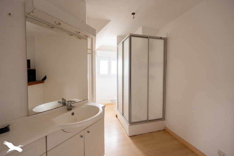 Vente Maison ALLOUIS - 7 pièces -155 m² - (18500)