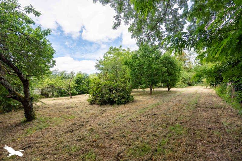Vente Maison ALLOUIS - 5 pièces -127 m² - (18500)