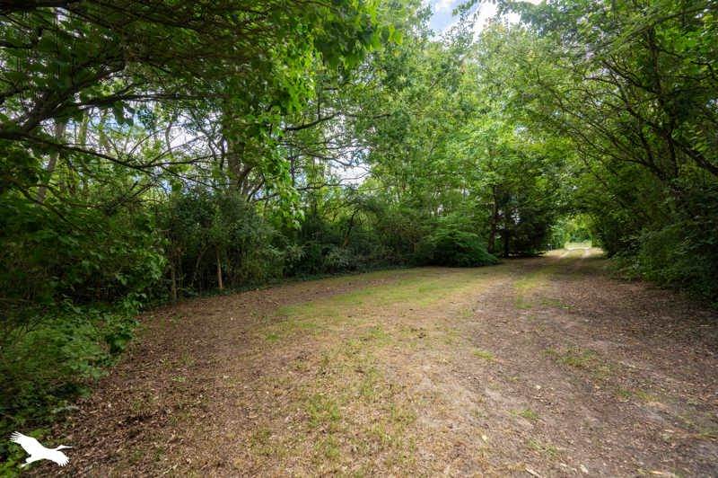 Vente Maison ALLOUIS - 5 pièces -127 m² - (18500)