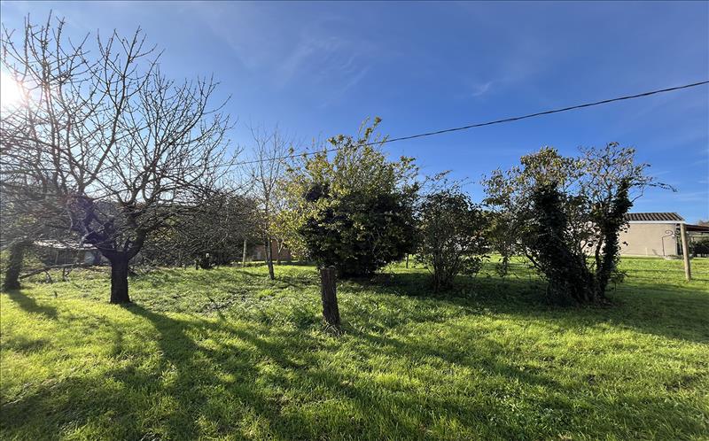 Vente Terrain POMPIGNAC - -1466 m² - (33370)