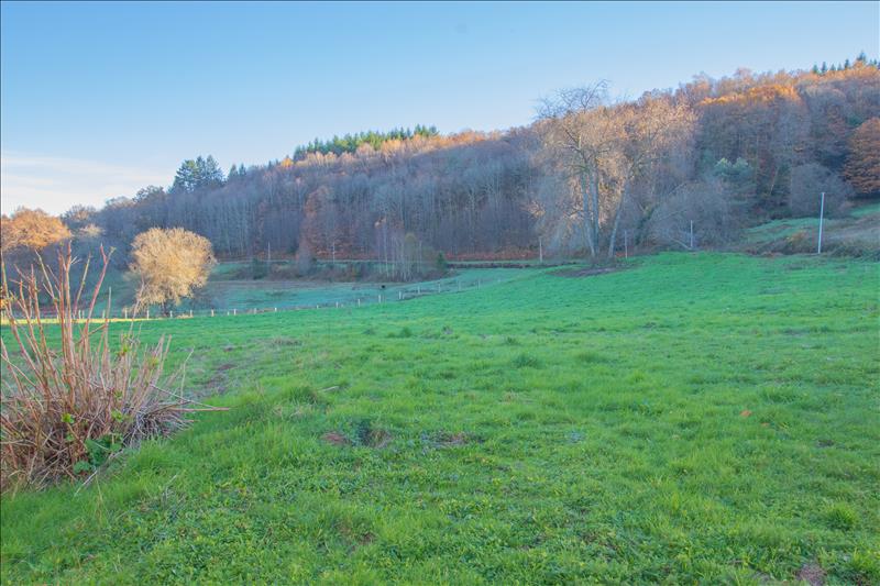 Vente Maison THOURON - 4 pièces -97 m² - (87140)