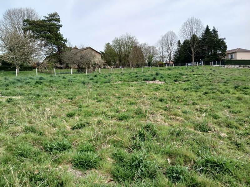 Vente Terrain COUZEIX - -640 m² - (87270)