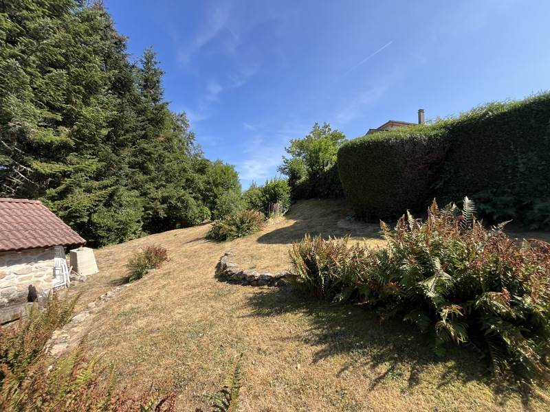 Vente Terrain CHAPTELAT - -381 m² - (87270)
