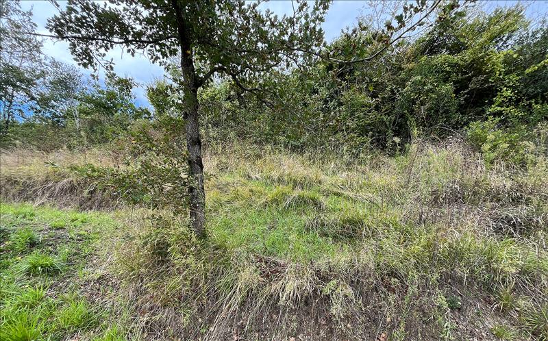 Vente Terrain BURLATS - -1684 m² - (81100)