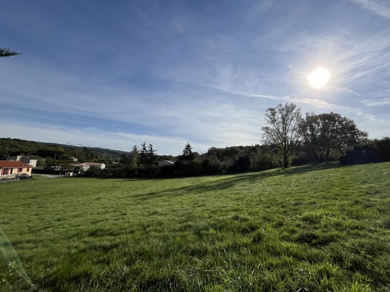 Vente Terrain CASTRES - -4881 m² - (81100)