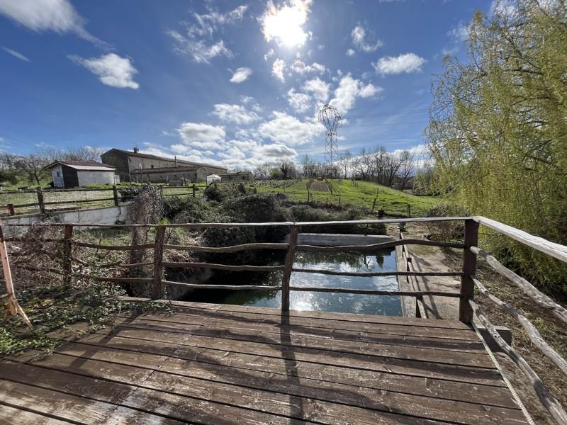 Vente Maison VIELMUR SUR AGOUT - 7 pièces -227 m² - (81570)