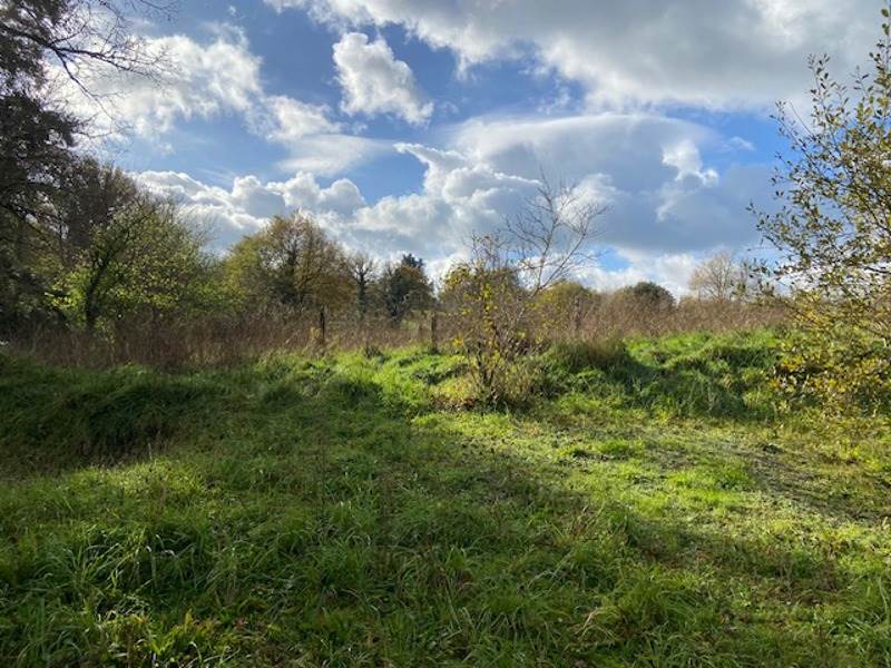 Vente Maison PRESSIGNAC - 4 pièces -92 m² - (16150)