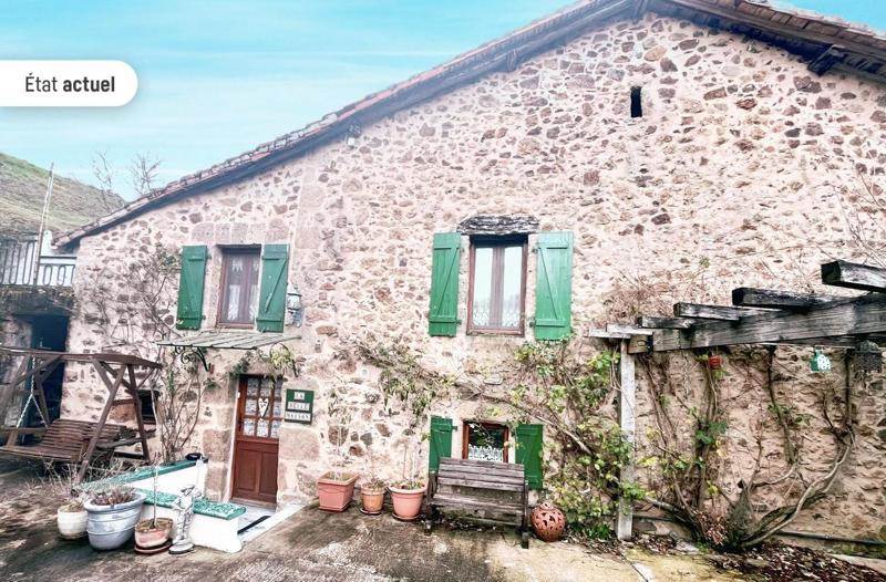 Vente Maison ROCHECHOUART - 7 pièces -225 m² - (87600)
