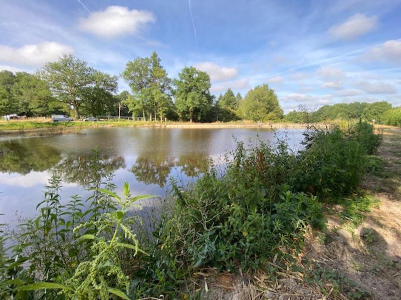 Vente Terrain ST MATHIEU - -5688 m² - (87440)