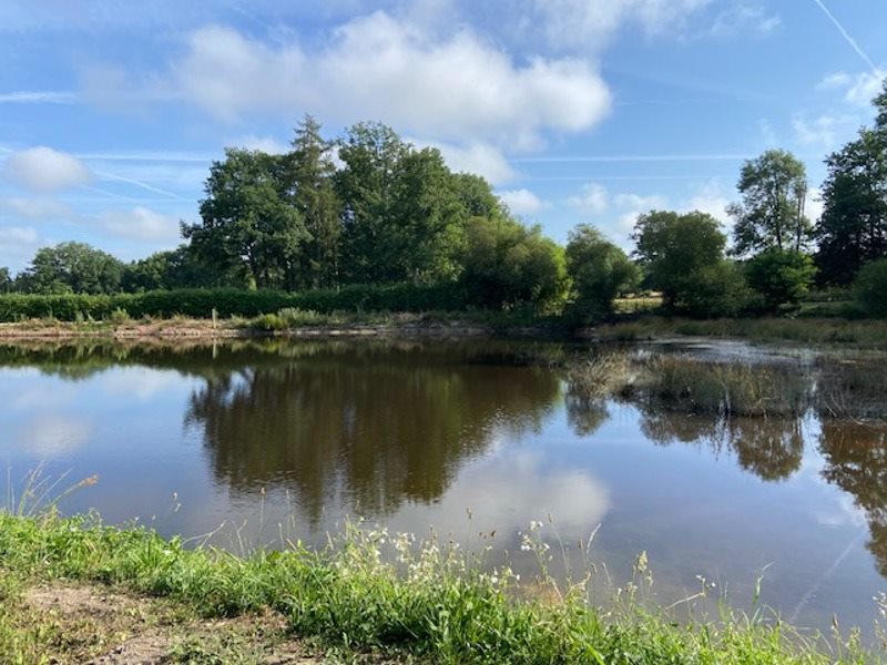 Vente Terrain ST MATHIEU - -5688 m² - (87440)