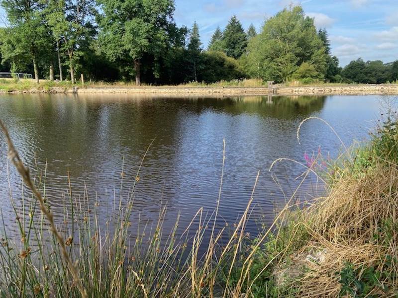 Vente Terrain ST MATHIEU - -5688 m² - (87440)