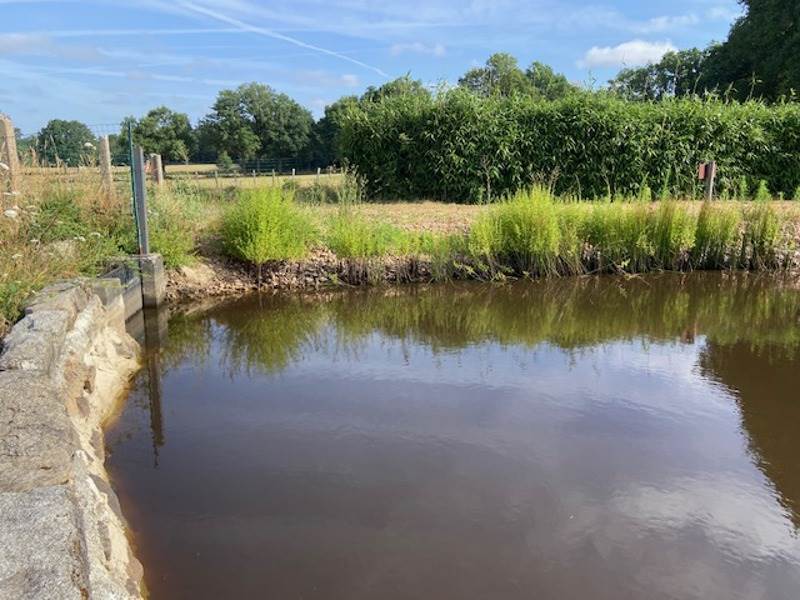 Vente Terrain ST MATHIEU - -5688 m² - (87440)