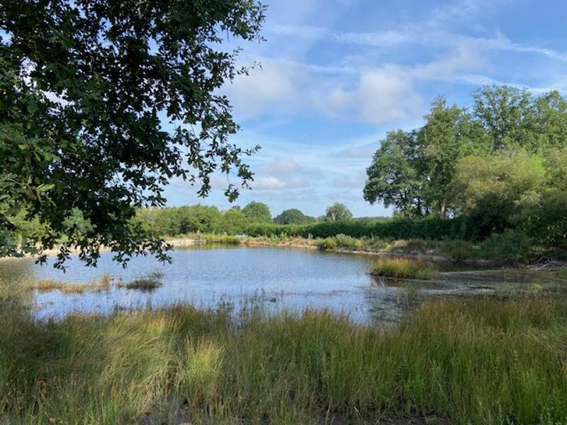 Vente Terrain ST MATHIEU - -5688 m² - (87440)