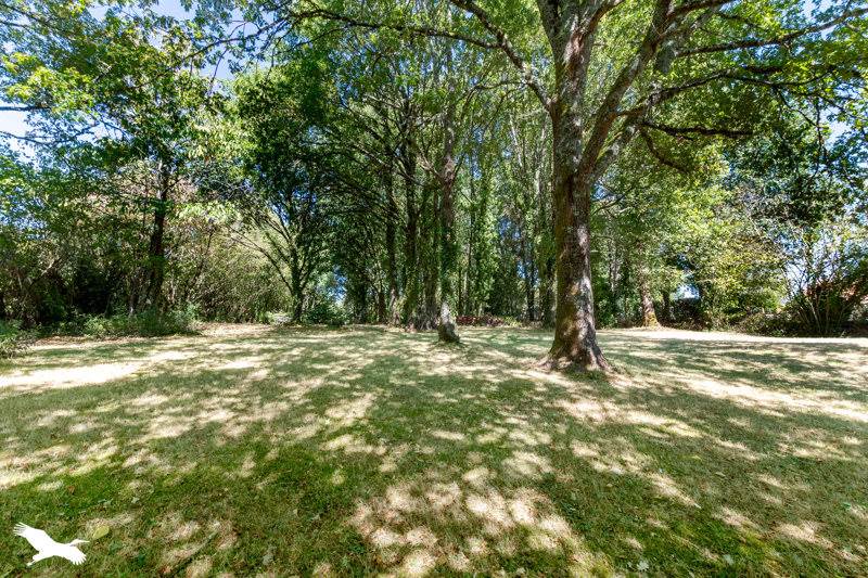 Vente Maison Chéronnac - 4 pièces -127 m² - (87600)