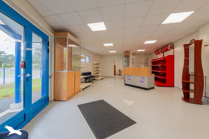 Vente Immeuble ST PRIEST DE GIMEL - -  250 m² - (19800)