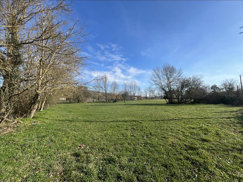 Vente Terrain BEAUCHALOT - -2052 m² - (31360)