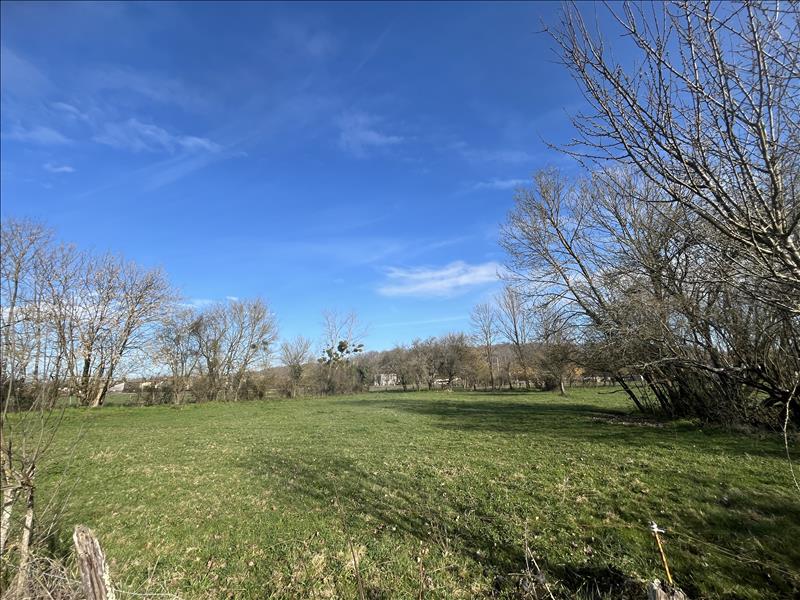 Vente Terrain BEAUCHALOT - -2052 m² - (31360)