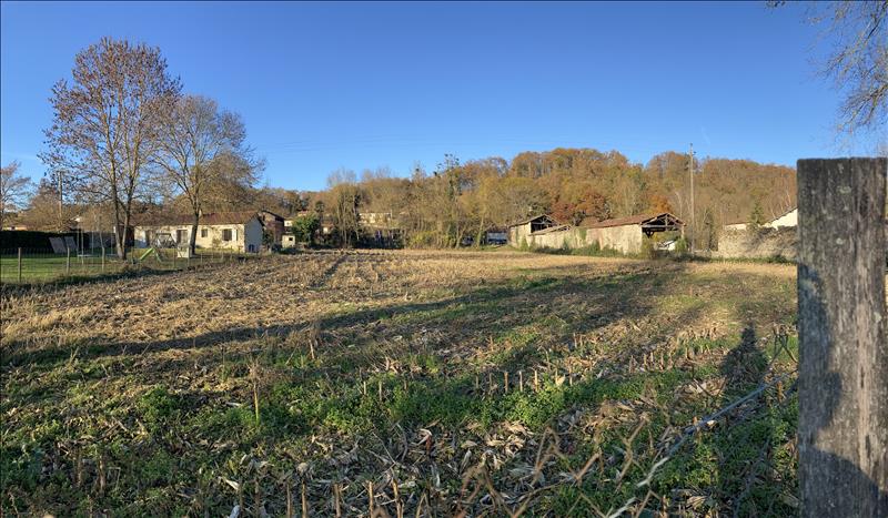 Vente Terrain BEAUCHALOT - -2337 m² - (31360)