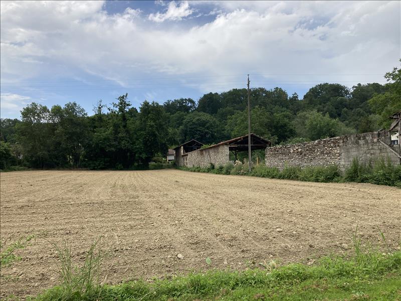Vente Terrain BEAUCHALOT - -2337 m² - (31360)