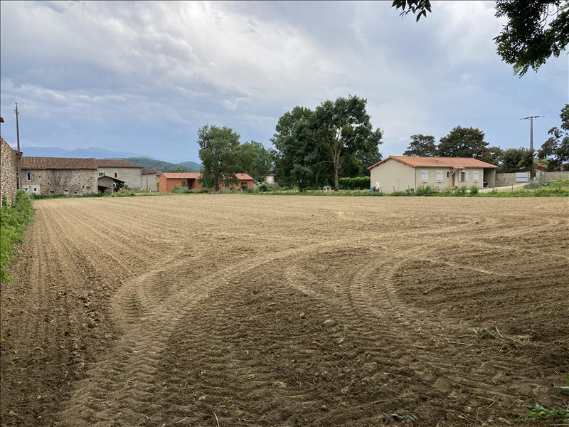 Vente Terrain BEAUCHALOT - -2175 m² - (31360)