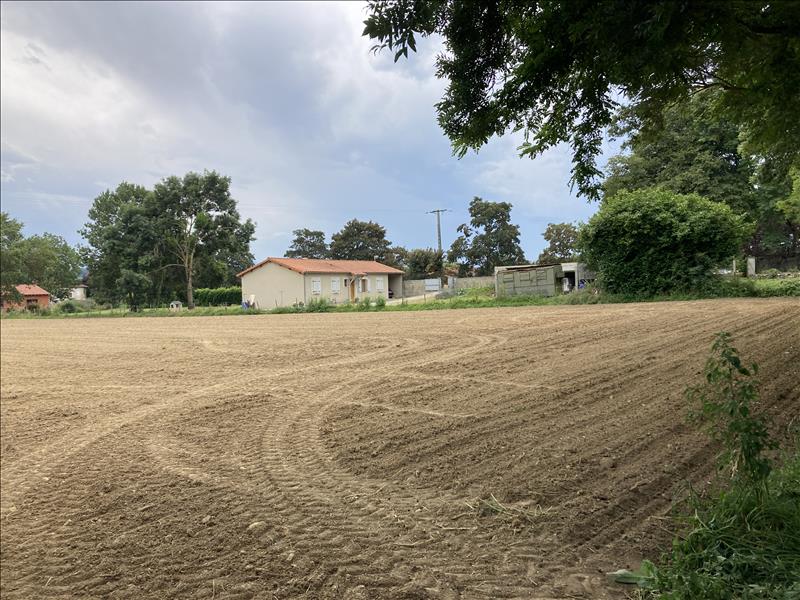 Vente Terrain BEAUCHALOT - -2175 m² - (31360)