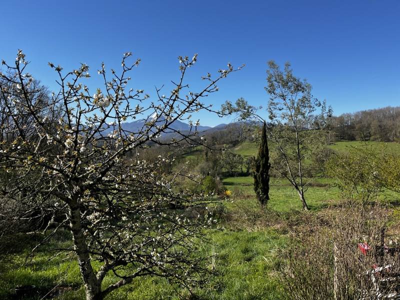 Vente Maison GANTIES - 4 pièces -92 m² - (31160)