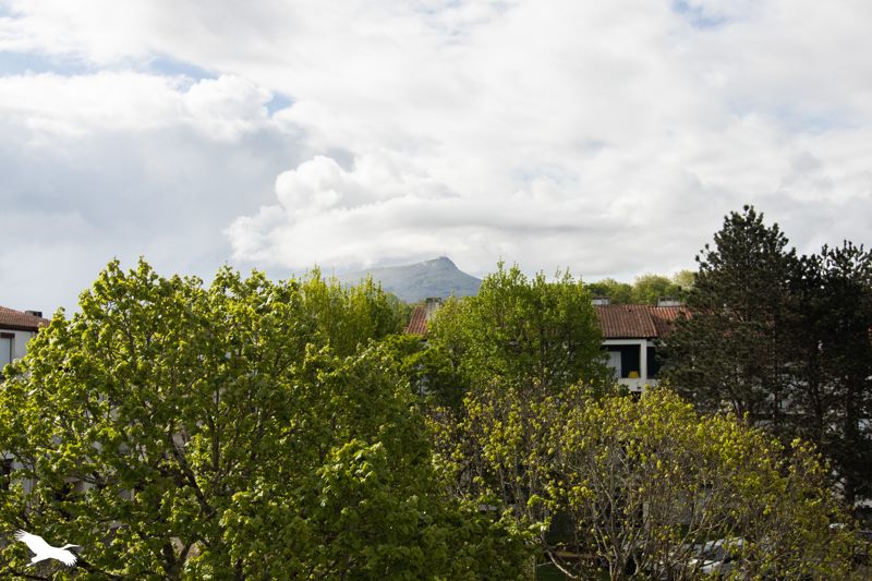 Vente Appartement ST JEAN DE LUZ - 3 pièces -68 m² - (64500)