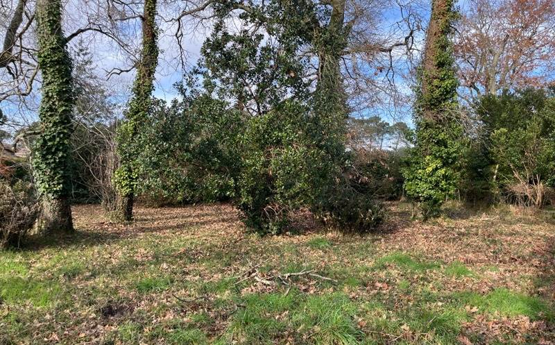 Vente Terrain AUDENGE - -516 m² - (33980)